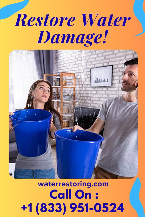 water restoration Stellar Sewage Cleanup LLC Maple Glen