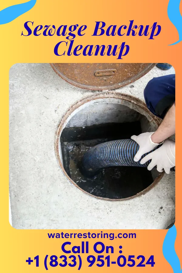 Sewage Backup Cleanup in Maple Glen, PA