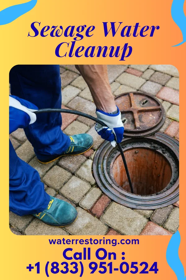 Sewage Water Cleanup in Maple Glen, PA